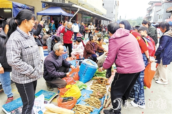 農(nóng)戶將自家種的土特產(chǎn)拿到圩市售賣。