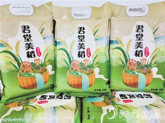 黎塘村以恩平市君江農墾投資開發(fā)有限公司為平臺打造“君堂美稻”品牌。
