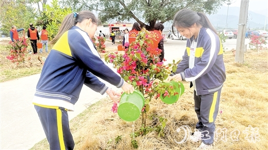 學生參與本次植樹活動。