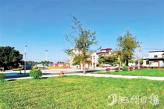 赤溪鎮(zhèn)長安村掀起新一輪植綠熱潮，擦亮“百千萬工程”典型村的綠美發(fā)展底色。