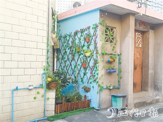 家門(mén)口的立體小花園為禾岡村注入生機(jī)與活力。