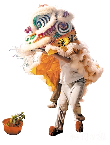 花炮會(huì)上，醒獅采青表演十分精彩。