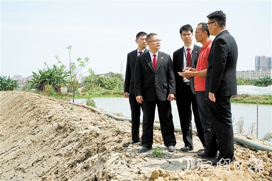 執(zhí)行法官在田間地頭向當(dāng)事人了解案情。