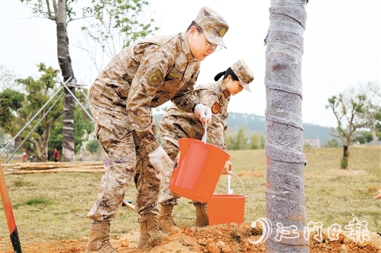 江門軍分區(qū)官兵、民兵參加義務(wù)植樹活動。
