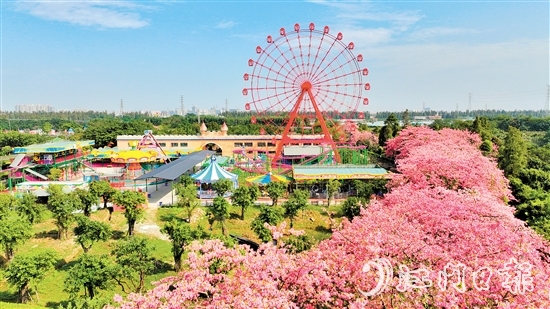 依托禮樂街道獨特旅游資源，長廊生態(tài)園開發(fā)研學旅游項目，賦能“江門三點三精彩之旅”品牌建設。