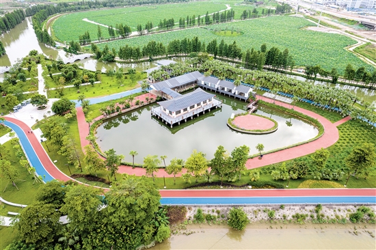 江海區(qū)禮樂河水利風景區(qū)。