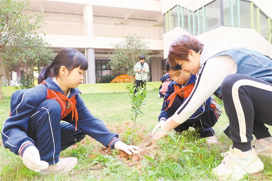 江門一中附屬小學(xué)師生攜手添綠。