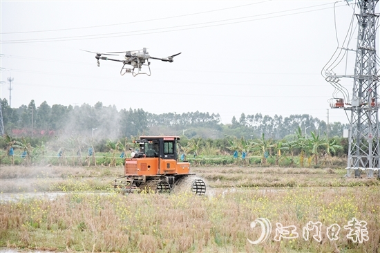 無人機、水旱耕作機協(xié)作開展春耕生產(chǎn)。