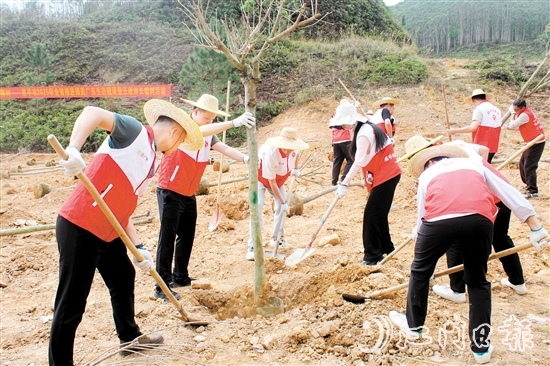 在植樹活動(dòng)中，大家揮鍬培土，干勁十足，為恩平增添綠意，為全運(yùn)會(huì)舉辦貢獻(xiàn)自己的力量。