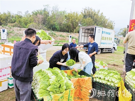 “恩平菜”在米倉村現(xiàn)場發(fā)貨，新鮮到達(dá)五邑各地市民餐桌。