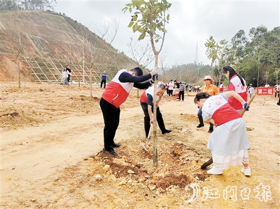 黨員干部積極參與植樹活動。