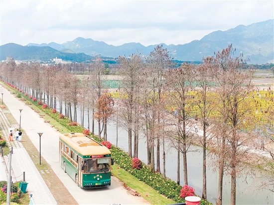 游客坐上“鐺鐺車”，欣賞沿途的美景。