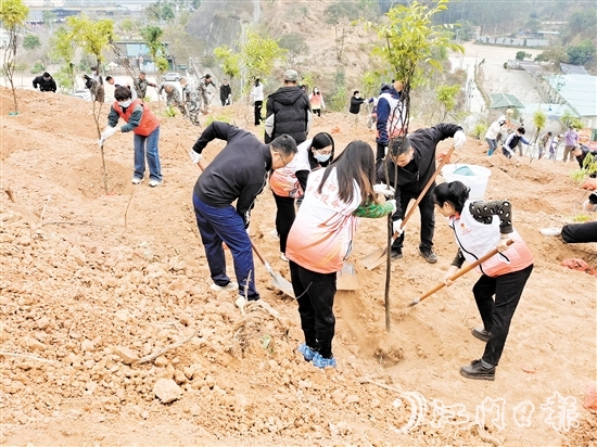 2025年蓬江區(qū)鄉(xiāng)村綠化主題植樹活動在五洞村舉行，黨員群眾攜手種下一棵棵樹苗。