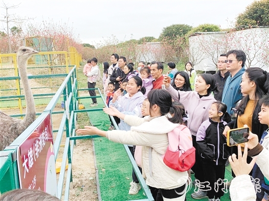 孩子們近距離觀察各類鳥禽。