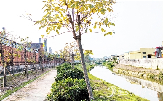 新橋水流域經(jīng)過治理后，環(huán)境大大改善。