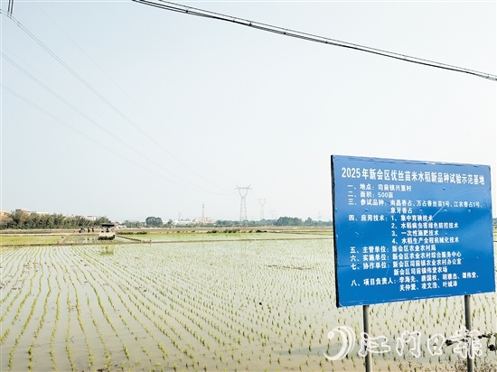興篁村建成標(biāo)準農(nóng)田，為糧食高產(chǎn)、穩(wěn)產(chǎn)、均衡增產(chǎn)奠定基礎(chǔ)。