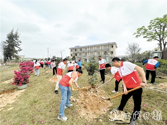 今年春天，水步鎮(zhèn)已先后開展30余場植樹活動，累計超1300名黨員干部群眾參與。
