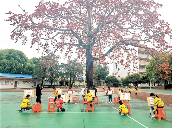 古井小學(xué)國(guó)畫(huà)社團(tuán)組織學(xué)生在校園木棉樹(shù)下畫(huà)木棉花。