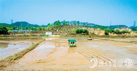 松土機(jī)、插秧機(jī)在集中連片的水田里來回穿梭。