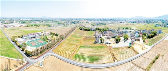 鷹村田園綜合體項目建設(shè)順利推進。
