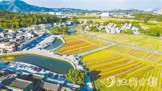 春賞格?；?、夏觀荷塘月、秋品稻花香、冬聞桂花釀的“全季旅游”模式，讓桂水村的知名度不斷攀升。