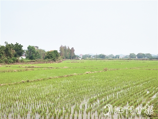 2024年，塘口新增耕地超49公頃，為鄉(xiāng)村振興注入了新動能。