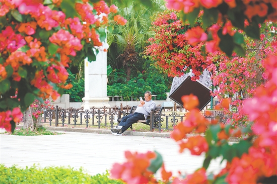 影視劇《棋士》曾在東湖公園取景。