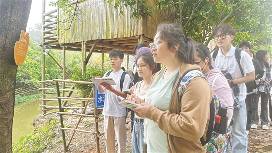 學(xué)生們?cè)诨赜^察各類植物。