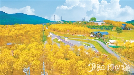 江門(mén)市七顆星農(nóng)業(yè)生態(tài)園于今年1月正式對(duì)外營(yíng)業(yè)，吸引了不少市民游客前來(lái)游玩。