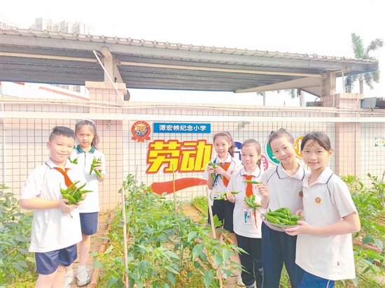 學(xué)生們?cè)凇靶腋＾r(nóng)場(chǎng)”全程參與從播種到收獲的勞動(dòng)過程。