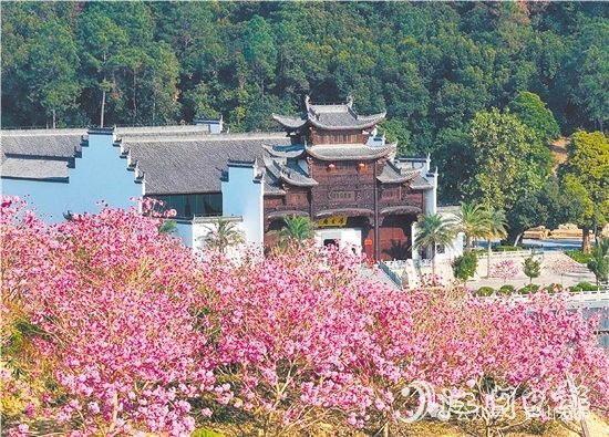 共和鎮(zhèn)來蘇村利用去年擂臺比武獲得的獎勵資金進(jìn)行一系列鄉(xiāng)村建設(shè)。圖為來蘇山水人家文旅項(xiàng)目。