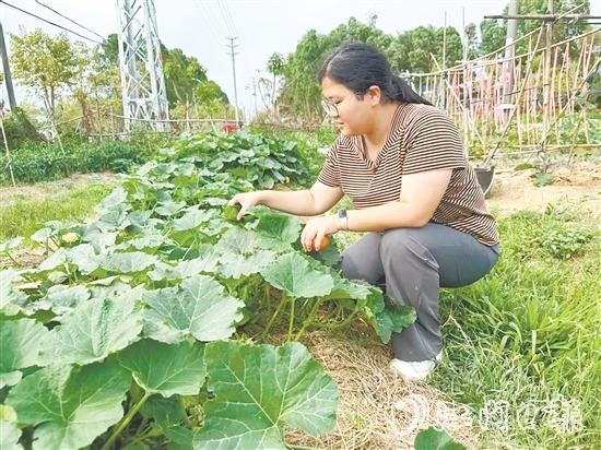 錢(qián)崗村村干部管好“黨群同心園”。