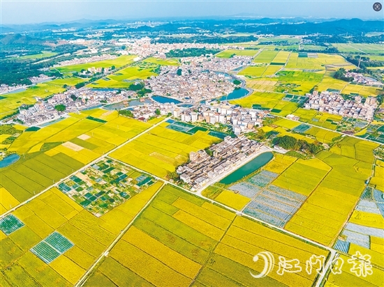恩平土壤肥沃，富含“硒”元素，該市正努力推動讓“硒”資源轉(zhuǎn)化為富民強市的“硒”經(jīng)濟。圖為恩平市牛江鎮(zhèn)。
