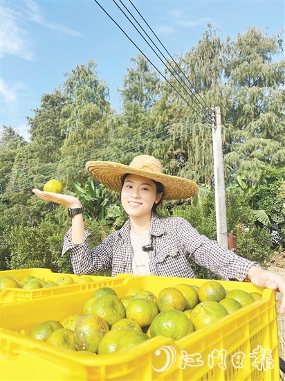 劉雪菲不斷探索新會(huì)柑種植、新會(huì)陳皮陳化倉(cāng)儲(chǔ)的更多可能。