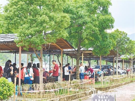 今年“五一”假期，恩平市簕菜文化創(chuàng)意園內(nèi)游人如織。