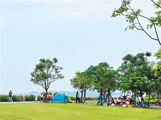 每到周末及節(jié)假日，江門各大公園及露營地成為親子野餐露營的首選之地。