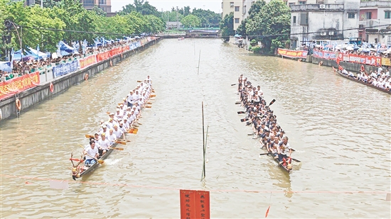 扒丁們在比賽中奮力劃槳。