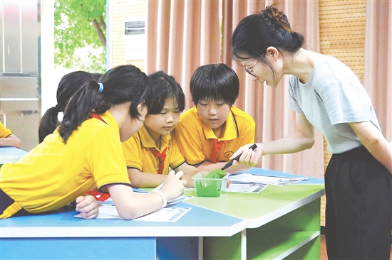 在古勞鎮(zhèn)連南小學(xué)的科學(xué)課上，學(xué)生們化身為“小小科學(xué)家”，認(rèn)真觀察并仔細(xì)記錄蠶的生長變化。