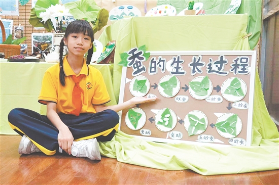 美術(shù)課上，學(xué)生在教師的指導(dǎo)下創(chuàng)作《蠶的一生》主題繪本。