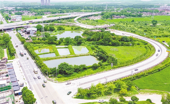 近年來，水步鎮(zhèn)先后投入約500萬元用于周邊廊道建設(shè)。