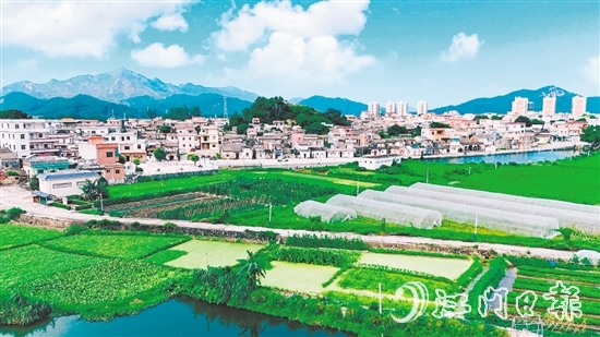 汶村鎮(zhèn)沙奇村通過深耕特色農(nóng)業(yè)、強化黨建引領(lǐng)、創(chuàng)新基層治理，實現(xiàn)從“臟亂差”到“綠富美”的華麗蝶變。