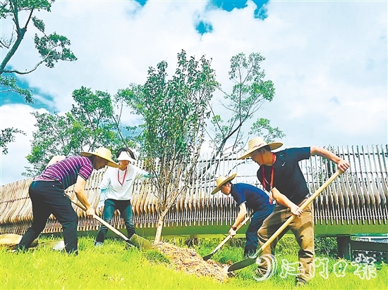 會城街道人大代表在小鳥天堂國家濕地公園種下40多株桃花樹苗。
