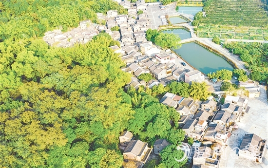 大江鎮(zhèn)石橋村華僑資源豐富，村內(nèi)有成片僑房形成的僑韻景觀。