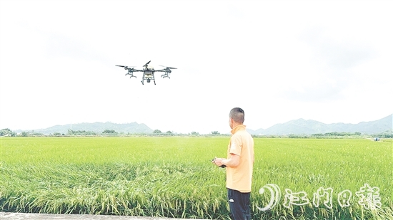 農(nóng)業(yè)技術(shù)人員利用大型植保無人機(jī)對(duì)農(nóng)田進(jìn)行補(bǔ)肥殺蟲。