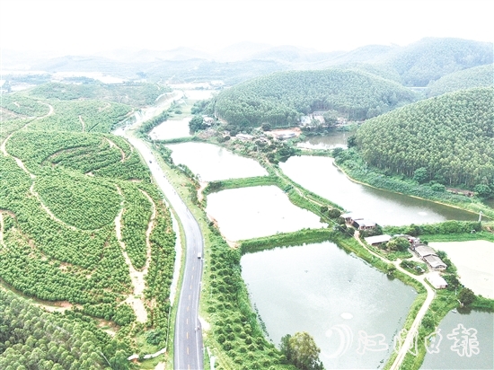 鶴山依托區(qū)位、資源、項(xiàng)目等核心優(yōu)勢，大力發(fā)展特色戶外運(yùn)動。