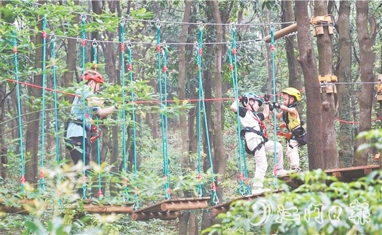 鶴山大雁山飛越叢林樂園十分火熱，吸引各地游客進(jìn)山探秘原始叢林，體驗(yàn)戶外運(yùn)動帶來的無限樂趣。