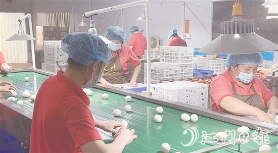 赤水鎮(zhèn)現(xiàn)已形成集種鴨繁育、生態(tài)養(yǎng)殖、飼料供應(yīng)、肉禽屠宰、蛋品加工、冷鏈物流于一體的完整產(chǎn)業(yè)鏈，產(chǎn)業(yè)總產(chǎn)值超5億元。