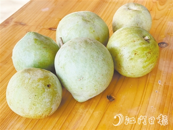 冰淇淋果果實(shí)成熟時(shí)可呈黃色或綠色，果肉為乳白色或米黃色，質(zhì)地綿軟順滑，果香濃郁。