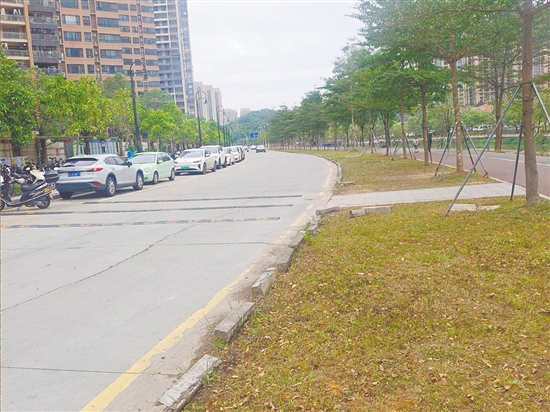 改造前的桂香路為雙向單車道，混凝土路面開裂明顯，路緣石破損嚴重。