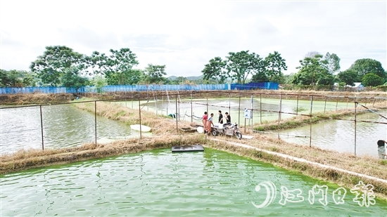 養(yǎng)殖基地毗鄰鶴城鎮(zhèn)三堡河，水源充沛，水質(zhì)優(yōu)良。
